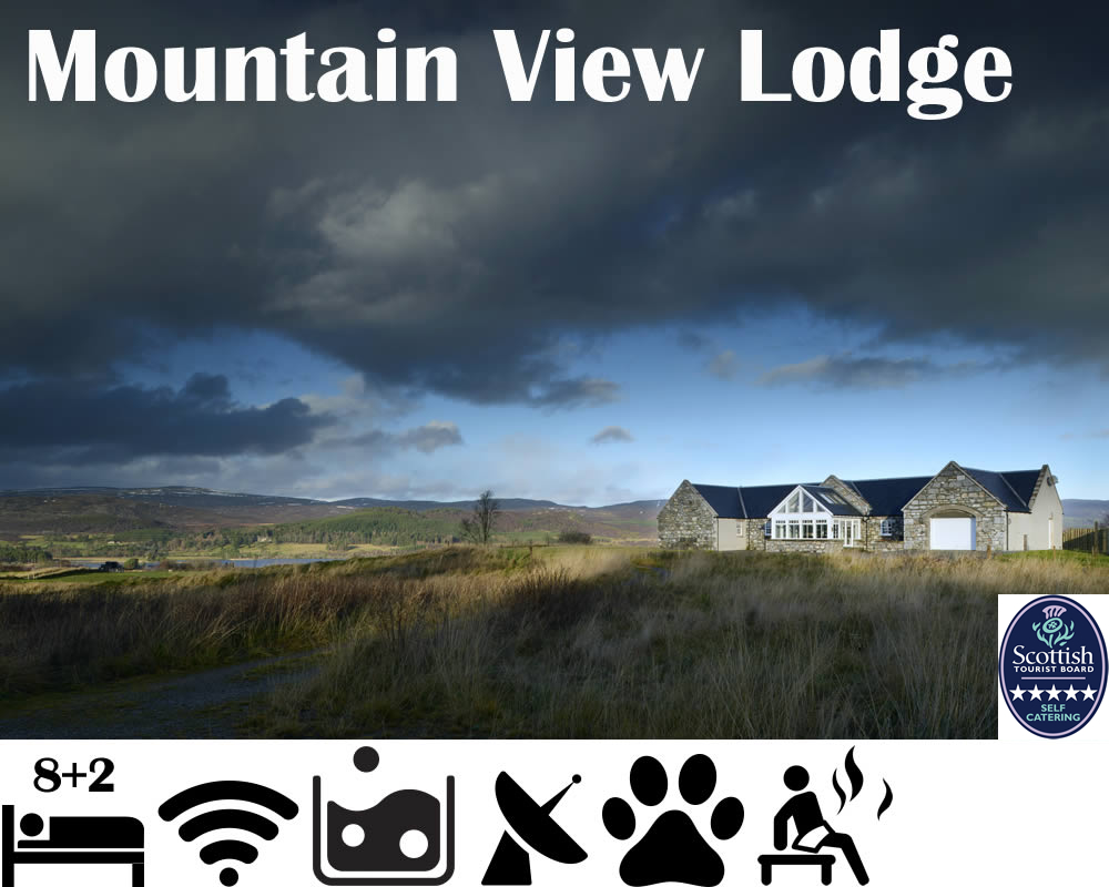 Mountain View Lodge